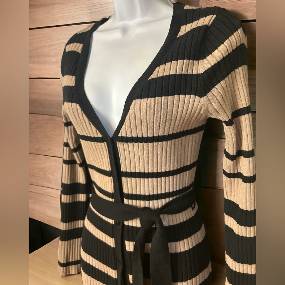 Shoedazzle pencil dress